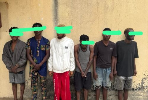 Osun: Police arrest six suspected cultists in hideout raids