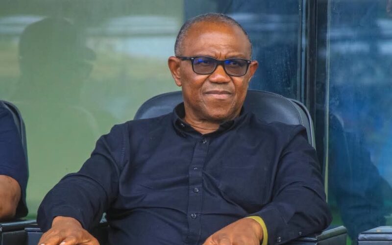 ‘Don’t send money home, ask them to elect capable leaders,’ Peter Obi tells UK-based Nigerians ‘Don’t send money home, ask them to elect capable leaders,’ Peter Obi tells UK-based Nigerians