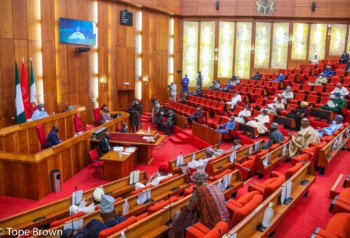 Senate panel clears NGE president, 15 others for NHRC governing board