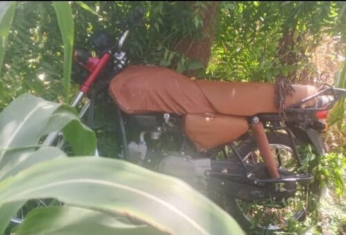Police arrest suspected motorcycle thief, recover 2 bikes in Jigawa – Daily Trust