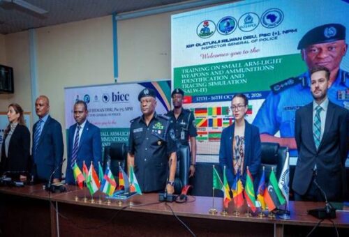 Disrupt Cross-Border Arms Supply To Secure 2027 Elections, IGP Tells African Nations