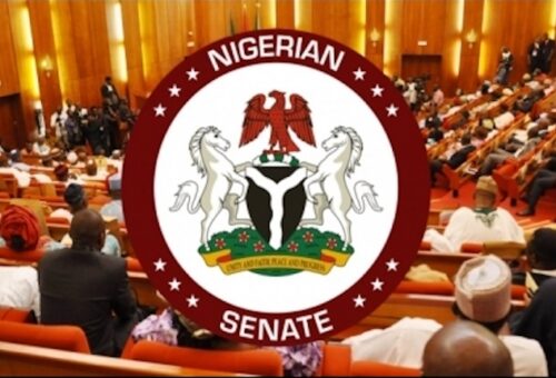 Senate Orders Nationwide Probe of Flood, Erosion Disasters, Demands Emergency Relief – THISDAYLIVE