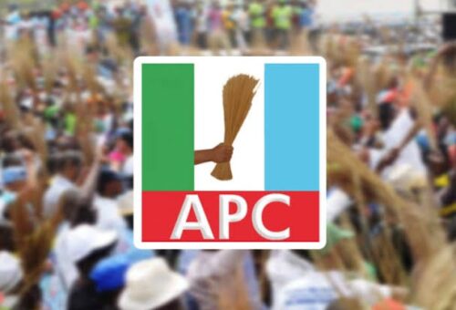 Court upholds order for fresh APC primary – Daily Trust