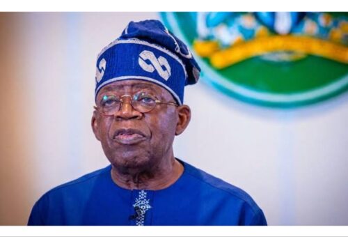 Economic hardship: Tinubu needs encouragement, not criticism – Oyintiloye