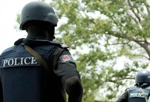3 weeks after, pregnant Kaduna woman still in captivity – Daily Trust