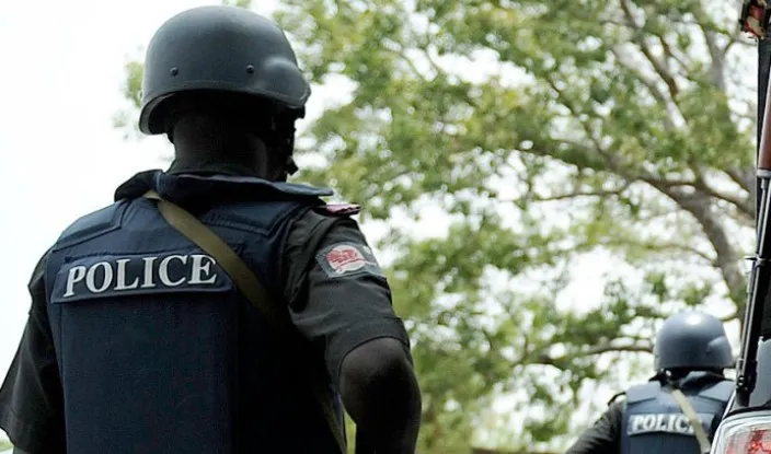 Police Arrest 62-year-old with Gun, Recover Indian Hemp in Delta – Daily Trust
