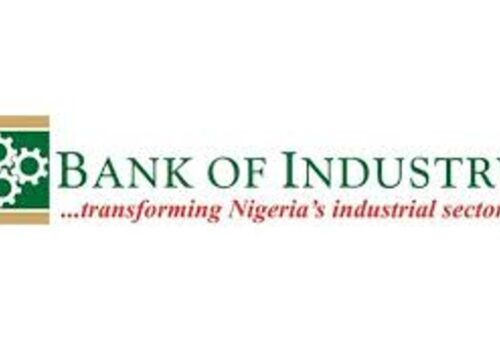 BOI Establishes 15 Tech Hubs, Supports Young Fashion Entrepreneurs with Solar Power Installation – THISDAYLIVE