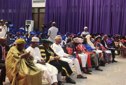 NILDS Honours Masari, Etteh, Orumwense With Fellowship Award 