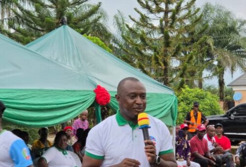 Nkwocha Questions Obi’s One-Term Presidency Deal