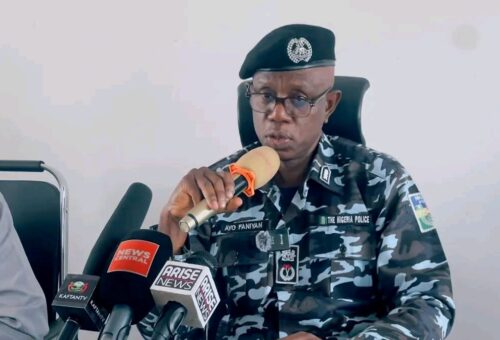 Plateau police arrest suspects, recover locally made guns
