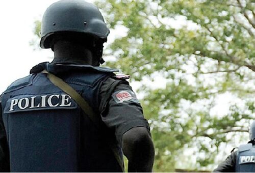 Police arrest 12 suspected kidnappers, recover AK-47 rifles in Kaduna