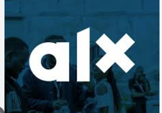 ALX Africa Collaborates to Drive Employability Skills among Youth – THISDAYLIVE