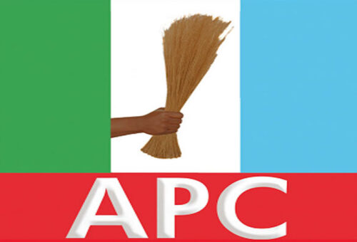 THE APC PRESIDENTIAL CAMPAIGN INAUGURATION – THISDAYLIVE