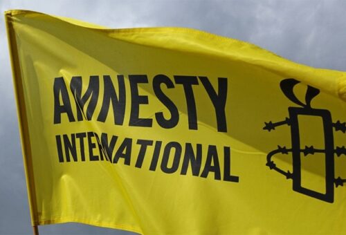 Amnesty raises alarm over bandit attacks in Niger, Zamfara