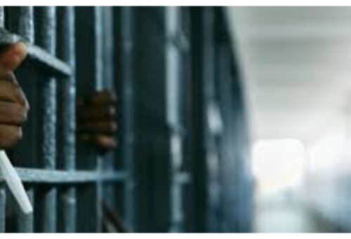 Man jailed 10 years for failing to report Boko Haram members