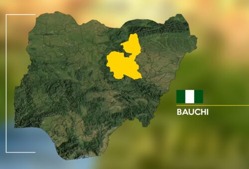 Woman allegedly poisons stepson in Bauchi – Daily Trust