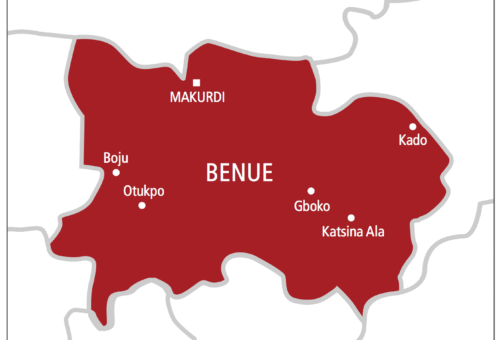 200 women for vegetable farming in Benue – Daily Trust