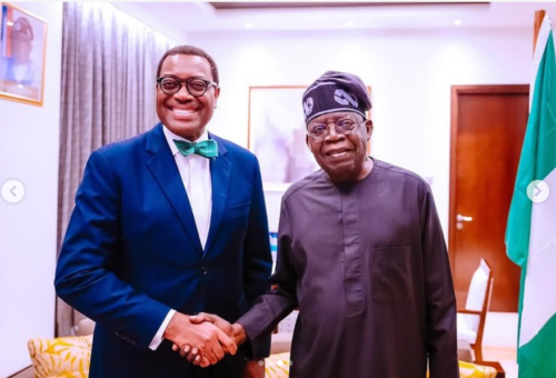 Adesina Offers To Help Tinubu Drive Nigeria’s Economic Growth