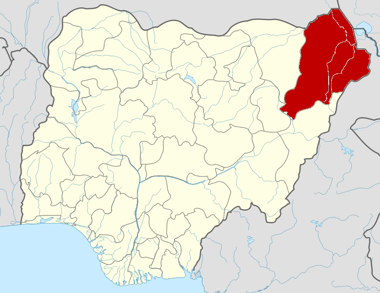 Borno employs 2,000 health workers in two years