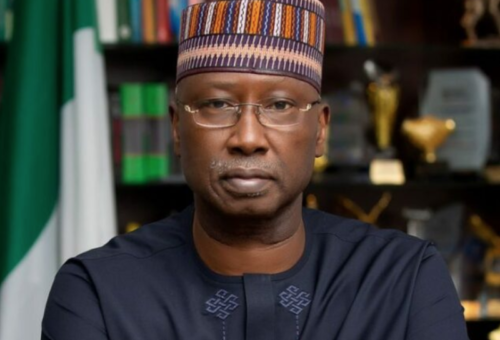 DGs of Parastatals Earn More than Ministers, Permanent Secretaries, Directors Combined, Former SGF Alleges – THISDAYLIVE