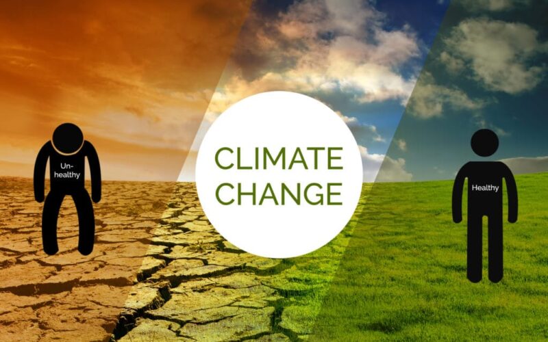FG Urged To Integrate Climate Change Education Into School Curriculum – Daily Trust FG Urged To Integrate Climate Change Education Into School Curriculum – Daily Trust