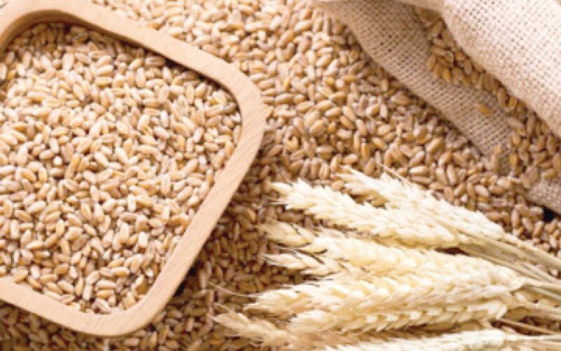 Nigeria unveils programme to cut 7mt annual wheat import – Daily Trust Nigeria unveils programme to cut 7mt annual wheat import – Daily Trust