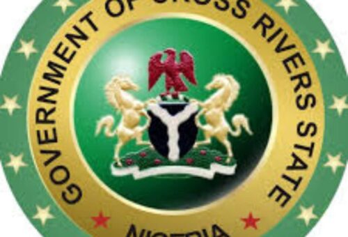 ‘Digitisation raises C/River revenue by N46bn in 6 months’ – Daily Trust