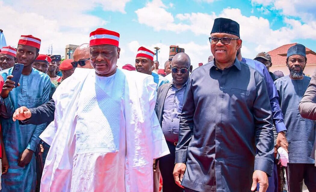 Kwankwaso-Obi Alliance Cannot Win Kano — Bashir Ahmad