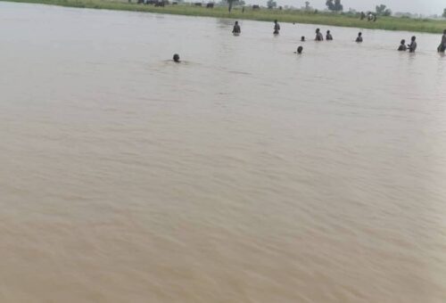 Flood disaster has caused 245 deaths, displaced 214,997 in 2026 – Daily Trust