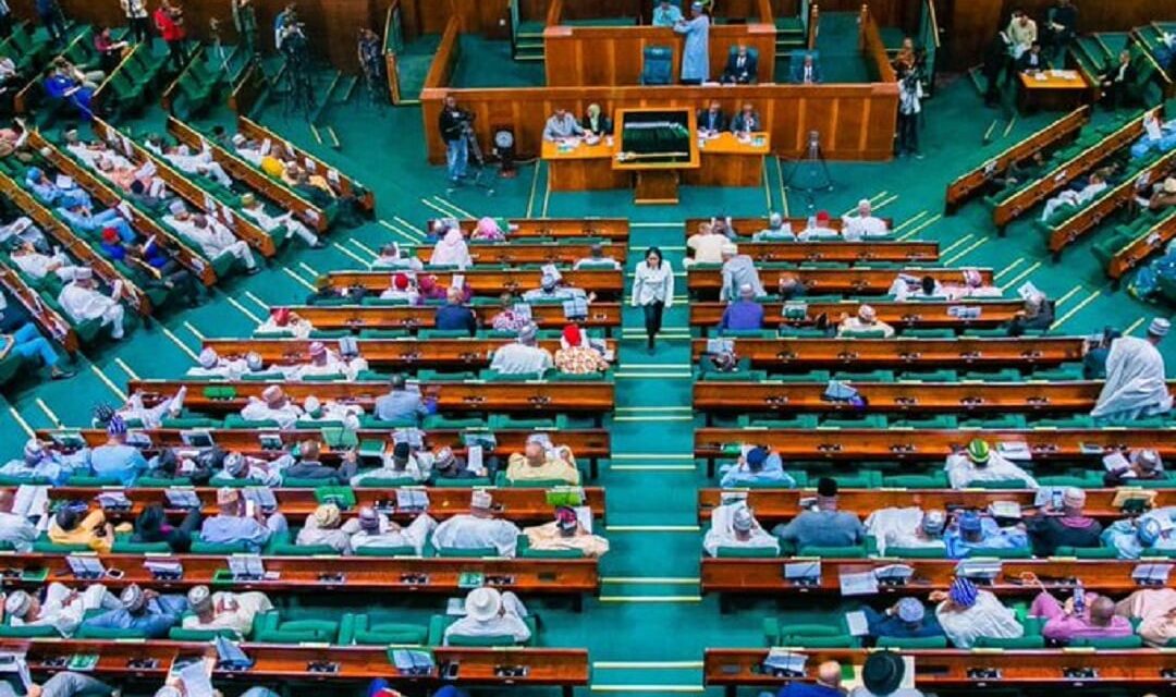 Reps threaten arrest warrants against Federal Polytechnic officials over audit queries
