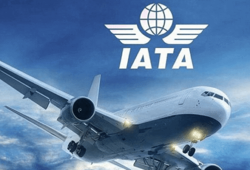 Payments Cost Airlines .5bn in 2025 – THISDAYLIVE
