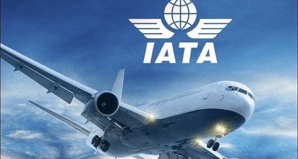 IATA: Payment costs swallow .5 billion from airlines, squeezing profits