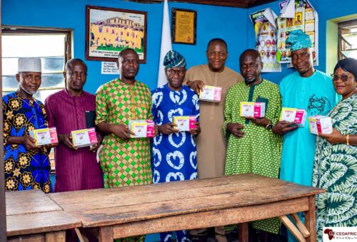 Every Nigerian family feeling devastating effect of malaria – APPMED