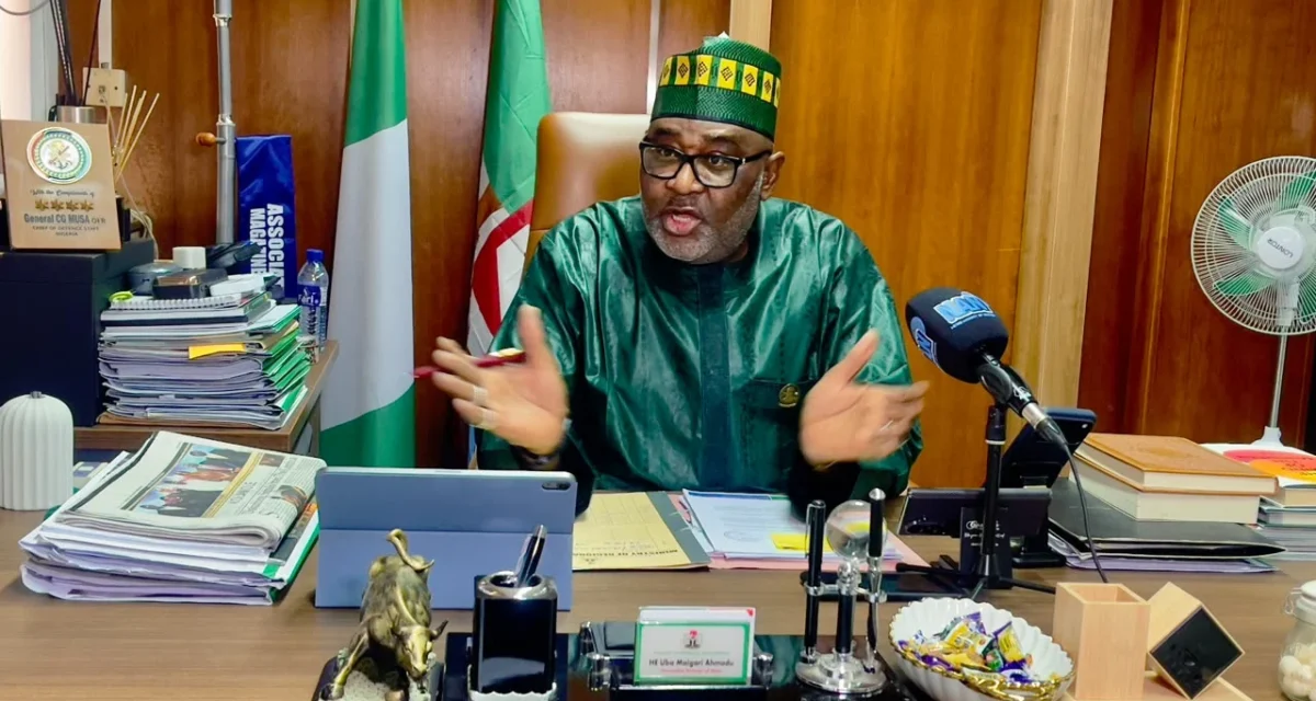 NEDC Delivers 21 Bridges, Roads, Mega Schools, Others In 2 Years