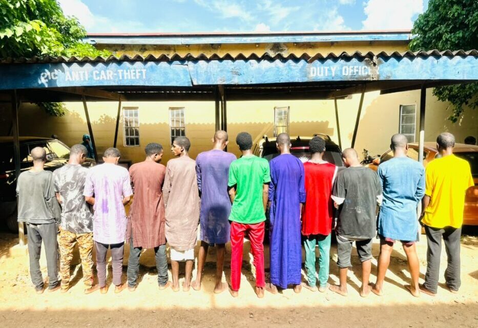 Kaduna Police Arrest 12 Suspected Kidnappers, Informants