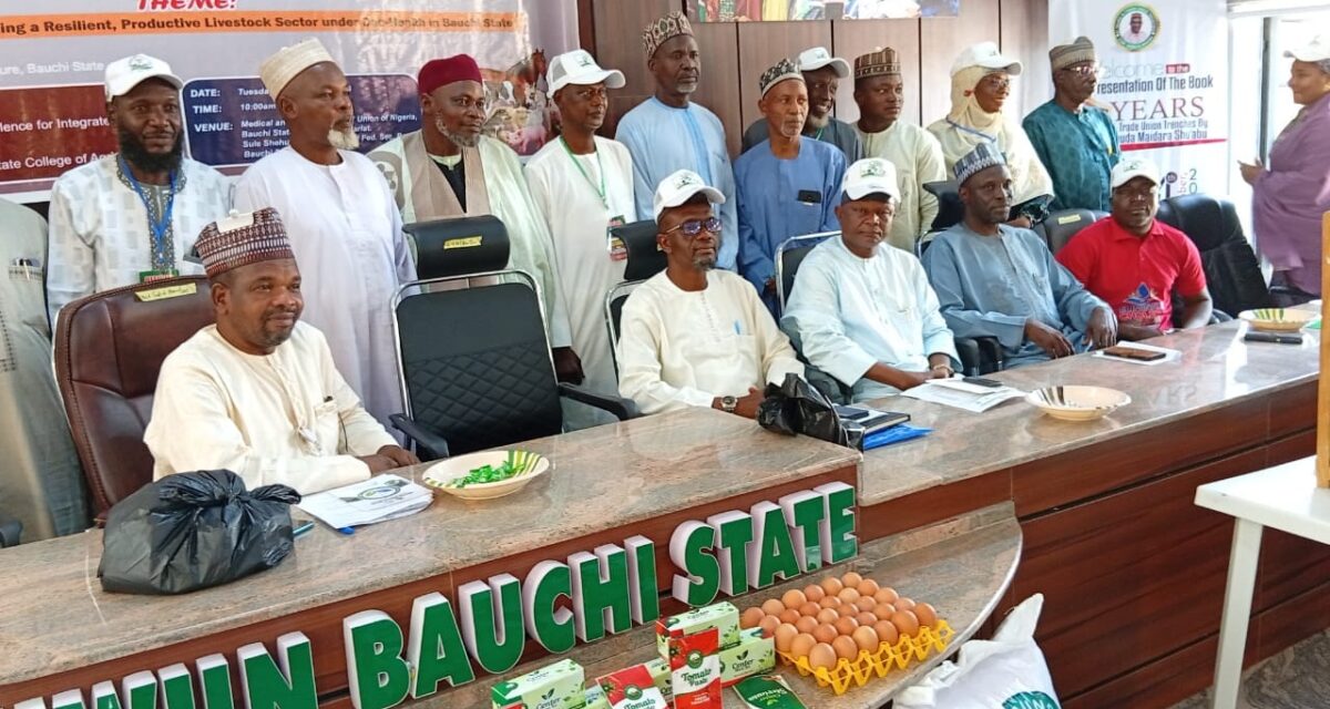 Livestock Experts Warn Farmers Against Indiscriminate Use of Antibiotics – Daily Trust
