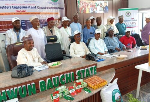 Livestock Experts Warn Farmers Against Indiscriminate Use of Antibiotics – Daily Trust