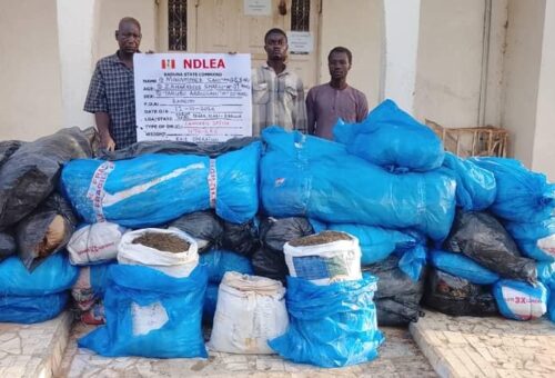 NDLEA intercepts Saudi-bound drug consignment hidden in palm oil keg