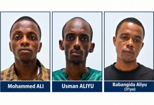 Driver, Witness Identify 5 Suspects Arrested By DSS