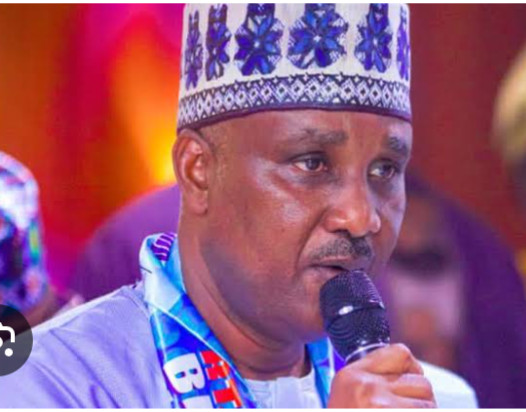 We’ll Take Tinubu’s Campaign To Each Constituency, Ward—Speaker Abbas