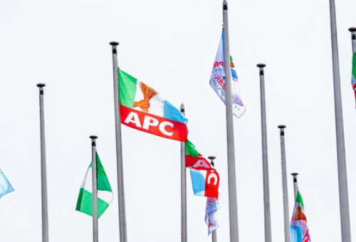 APC Wins 21 Chairmanship Seats, 239 Councillorship Positions