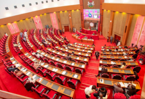 Senate Demands Military Offensive, Emergency Relief For Displaced Residents