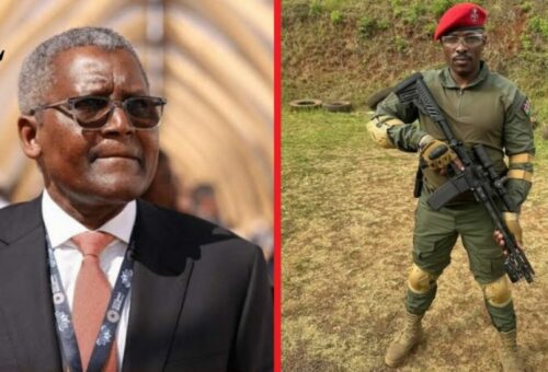 Netizens Blast Kenyan Presidential Hopeful Over Threat On Dangote