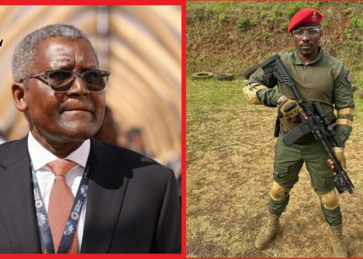 Netizens Blast Kenyan Presidential Hopeful Over Threat On Dangote