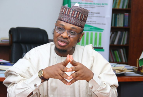 INEC Gives Pantami, Adebutu, Gwarzo, Others 14 Days To Appeal Exclusion