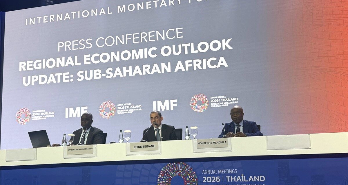 CBN’s interest rate reset is the “right thing” to do — IMF’s Zeine Ould Zeidane
