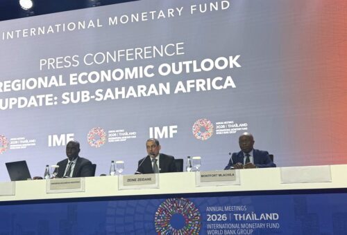 CBN’s interest rate reset is the “right thing” to do — IMF’s Zeine Ould Zeidane