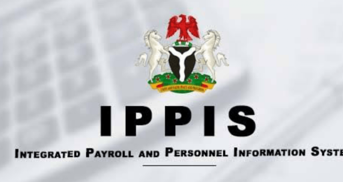 Why we removed universities from recruitment waiver, IPPIS – Daily Trust