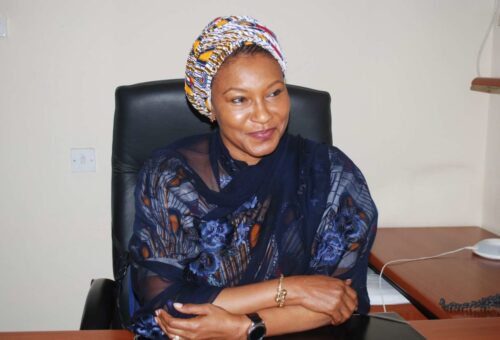 Kingibe, Others Canvass Funding, Legislative Intervention On Healthcare Deficits