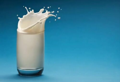 Everything You Thought You Knew About Milk – THISDAYLIVE